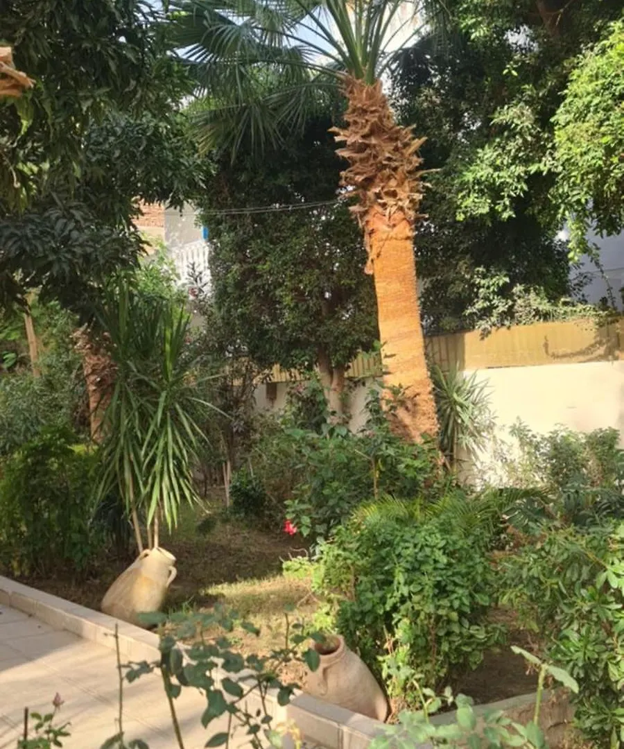 Senmut Luxory Apartments